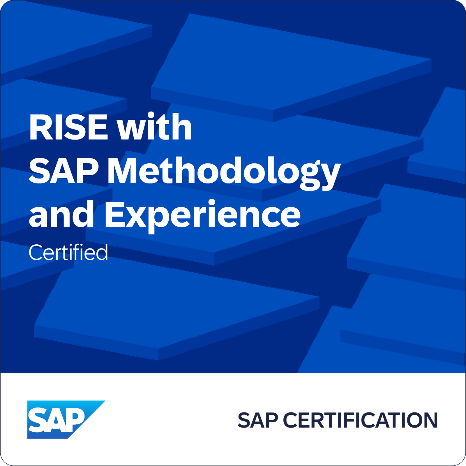 SAP Certified - RISE with SAP Methodology and Experience