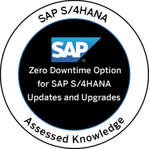 Zero Downtime Option for SAP S/4HANA Updates and Upgrades